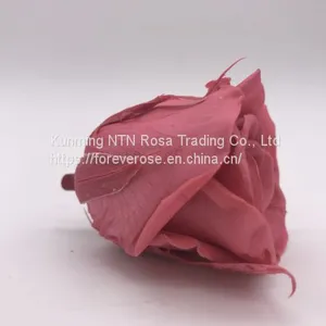 Preserved Fresh Flower Home Decoration Wedding Gifts thumbnail-3