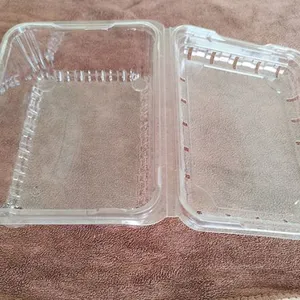 Disposable PET Lunch Boxes Manufacturer thumbnail-1