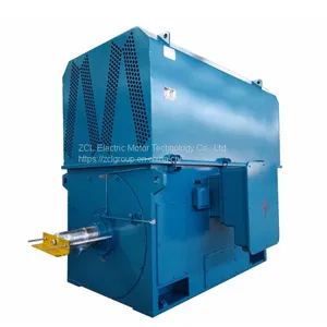 High Voltage Squirrel Cage Induction Motor thumbnail-3