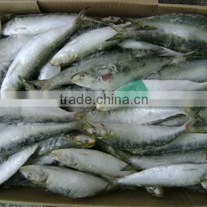 Sardinella Lemuru From Chinese Manufacture thumbnail-5