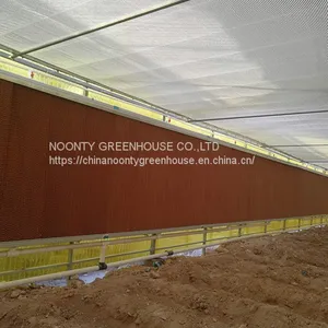 Economical Commercial Polycarbonate Sheet Greenhouse thumbnail-2