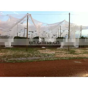 Agricultural HDPE Anti Hail Net Screenhouse for Plants Protection Fruit Apple Tree thumbnail-2