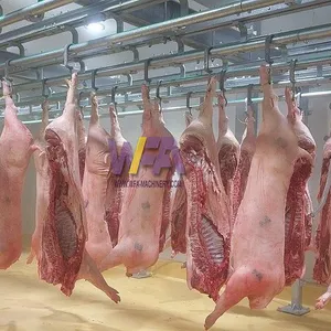 Small Scale Pig Abattoir Machine for Hog Goat Slaughterhouse of Meat Processing Line thumbnail-1