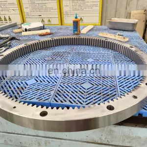 LYHGB Manufacturer Customized High Precision Gear Ring CNC Machine Center Tool Magazine Custom Inner Gear Ring thumbnail-2