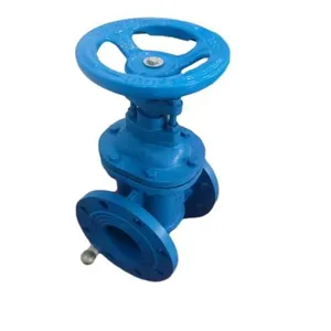 Hot Sale Factory Price DIN F4 Hard Seal Non-rising Stem Gate Valve Manual Cast Iron Flange Metal Seat Gate Valve thumbnail-6