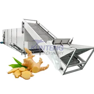 Ginger Drying Machine/Ginger Slicer and Dryer/Ginger Drying and Processing Machine EPC thumbnail-1