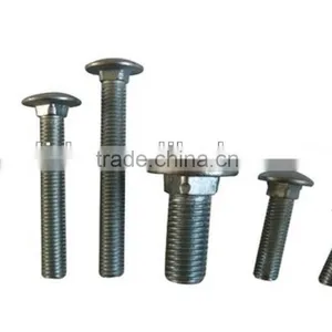 Carriage Bolts thumbnail-1