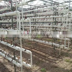 12M Wide Span Greenhouse thumbnail-4