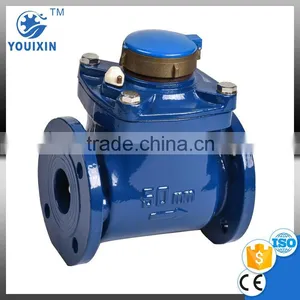 LXLC-50~300T Detachable Vane Wheel With Dry Type Register for Brass Cover Woltman Cold Water Mater Water Flow Meter thumbnail-2
