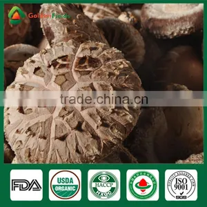 Shiitake Mushroom Fresh Health Food Shiitake Mushroom Whleseller thumbnail-1