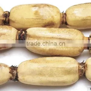 FRESH LOTUS ROOT WITH BEST PRICE AND GOOD QUANLITY thumbnail-2