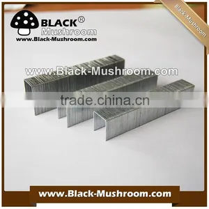 Factory Supply 20 # Office Staples Good Quality Lower Price (welcome to Ask Sampels) thumbnail-5