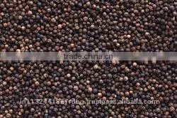 Indian Black Pepper/black Papper Exporter in India/whole Indian Pepper thumbnail-3