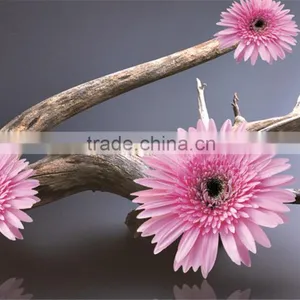Beautiful Flower Design Colorful UV-print Clear Table Mat thumbnail-2