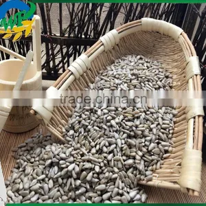 New Crop Chinese Sunflower Seed Kernel for Export thumbnail-2