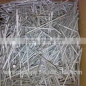 Black Common Wire Nail/Common Iron Wire Nail thumbnail-1
