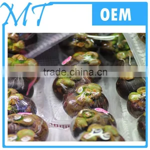 Food/meat/fruits/vegetables Pvc Wrap Film thumbnail-3