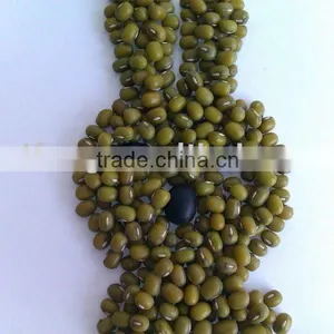 Green Mung Bean/mung Bean thumbnail-1