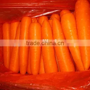 Chinese Fresh Carrot 2L thumbnail-1