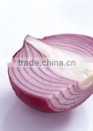Onion ( Yellow - Red - White - Gold ) thumbnail-1