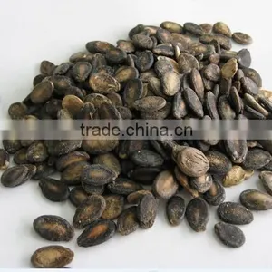 Foodstuff / New Crop Black Watermelon Seeds A Grade for Sale thumbnail-1