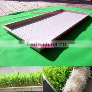 Hydroponics Fodder/wheat/grass/bean/barley Growing Tray, Plastic Flat Pallet thumbnail-1