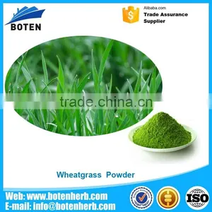 Wheatgrass Seeds Wheatgrass Powder thumbnail-1
