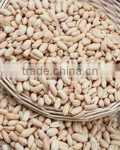Chinese New Crop Fried Peanut thumbnail-1