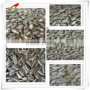 Provide Black Watermelon Seeds Hot Sale New Crop thumbnail-3