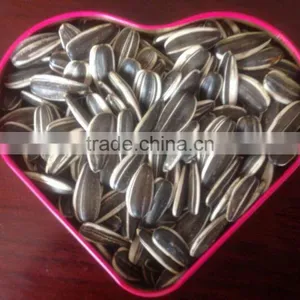 Price of Sunflower Seeds With Bright Black Color thumbnail-2