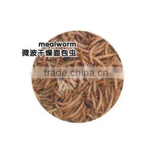 Mealworms Wildbird Food thumbnail-1