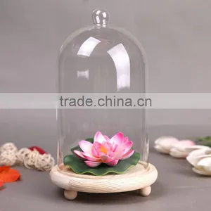 Micro Landscape Ecological Meaty Plant Glass With Wooden Base Ball Button thumbnail-1