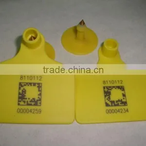 Ear Tag thumbnail-1