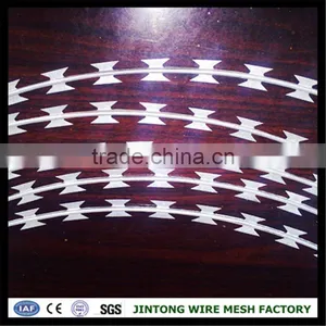 Fence Wire Mesh Razor Barbed Wire Philippines Concertina Wire With Pallet thumbnail-1