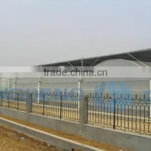 Plastic Film Greenhouse for Agriculture thumbnail-1