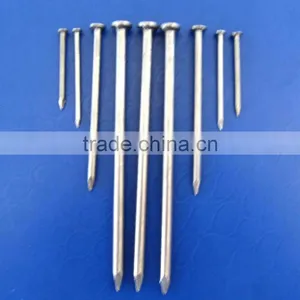 Common Nails (Factory and Exporter) thumbnail-1