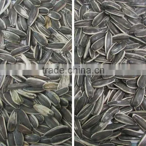 Mainly Part Imported Sunflower Seeds Color Sorter Machine thumbnail-6