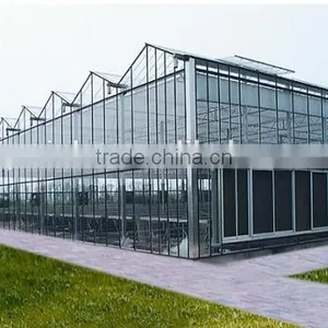 Hot Sale Agriculture Glass Covering Greenhouse Shade /green-house thumbnail-1