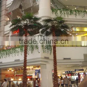 Evergreen Palm Trees for Decoration thumbnail-1
