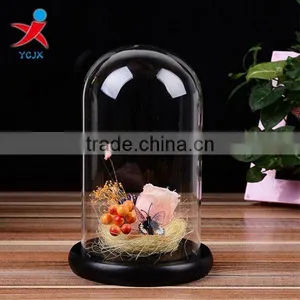 Clear Decorative Glass Dome With Black Wooden Base thumbnail-1