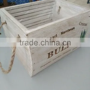 Paulownia Flower Pot thumbnail-5