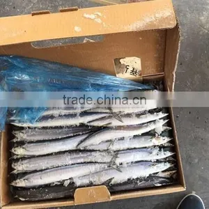 Frozen Pacific Saury Fish thumbnail-2