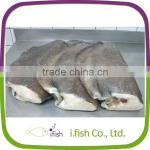 Halibut thumbnail-1