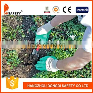 DDSAFETY Hot Sale Green Nitrile Glove Making Machine thumbnail-2