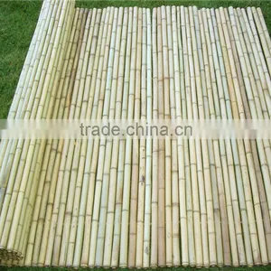 Bamboo Pole Fences/Bamboo Slat Fencings/Bamboo Cane Fencings for Sale thumbnail-1
