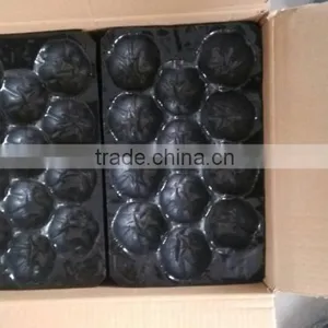 Fresh Produce Packaging Customized Vacuum Forming Disposable Plastic Fruit Cell Tray thumbnail-1