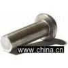 Rivet thumbnail-1