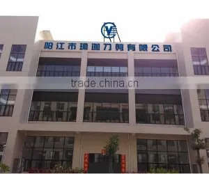 Yangjiang Yoga Daojian Co., Ltd. company overview - view 1 thumbnail