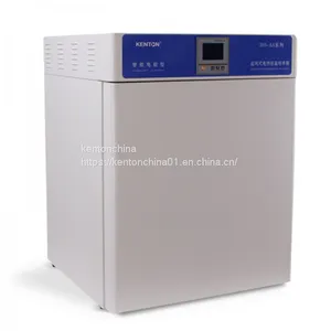 Laboratory Equipment Air Blast Heating Incubator-303AS,Storage Bacteria, Biological Culture thumbnail-1