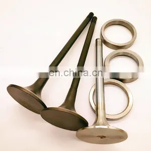 988 922 343 346 348 349 Generator Diesel Part For CAT Caterpillar D 7E7830 7N9541 7S9345 8N3725 Truck Intake Exhaust Valve Guide thumbnail-2